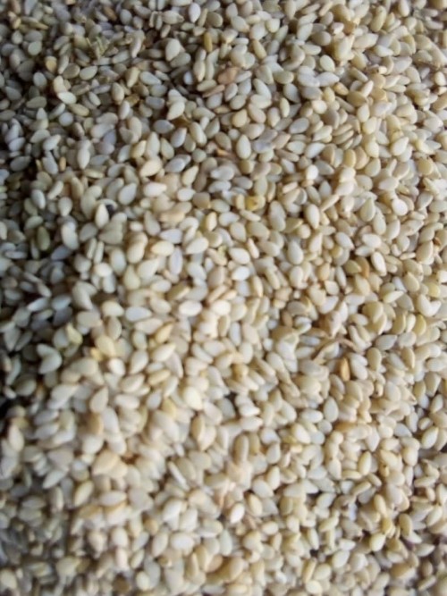 Top Grade Organic Sesame Seed